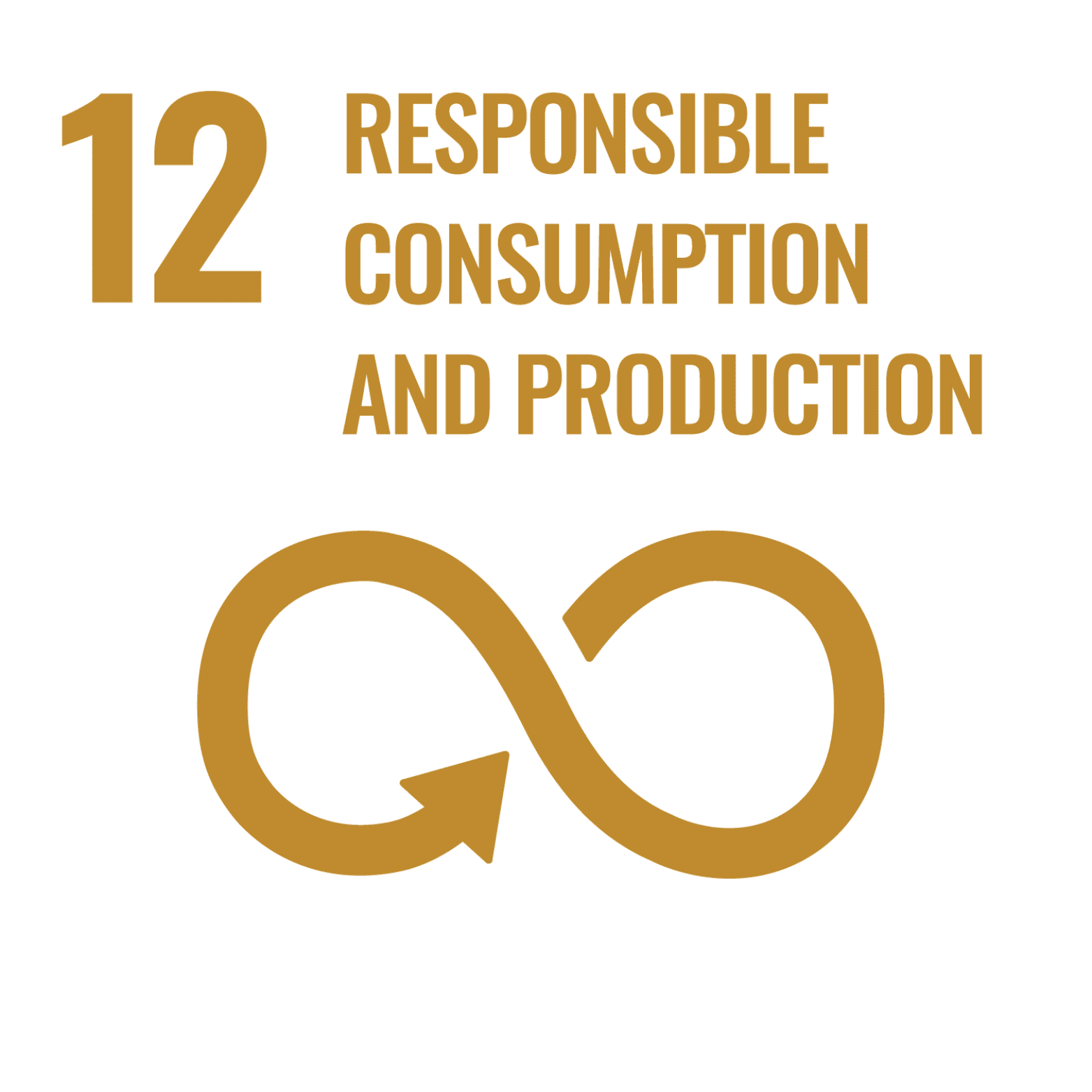 SDG 12 Responsible Consumption & Production