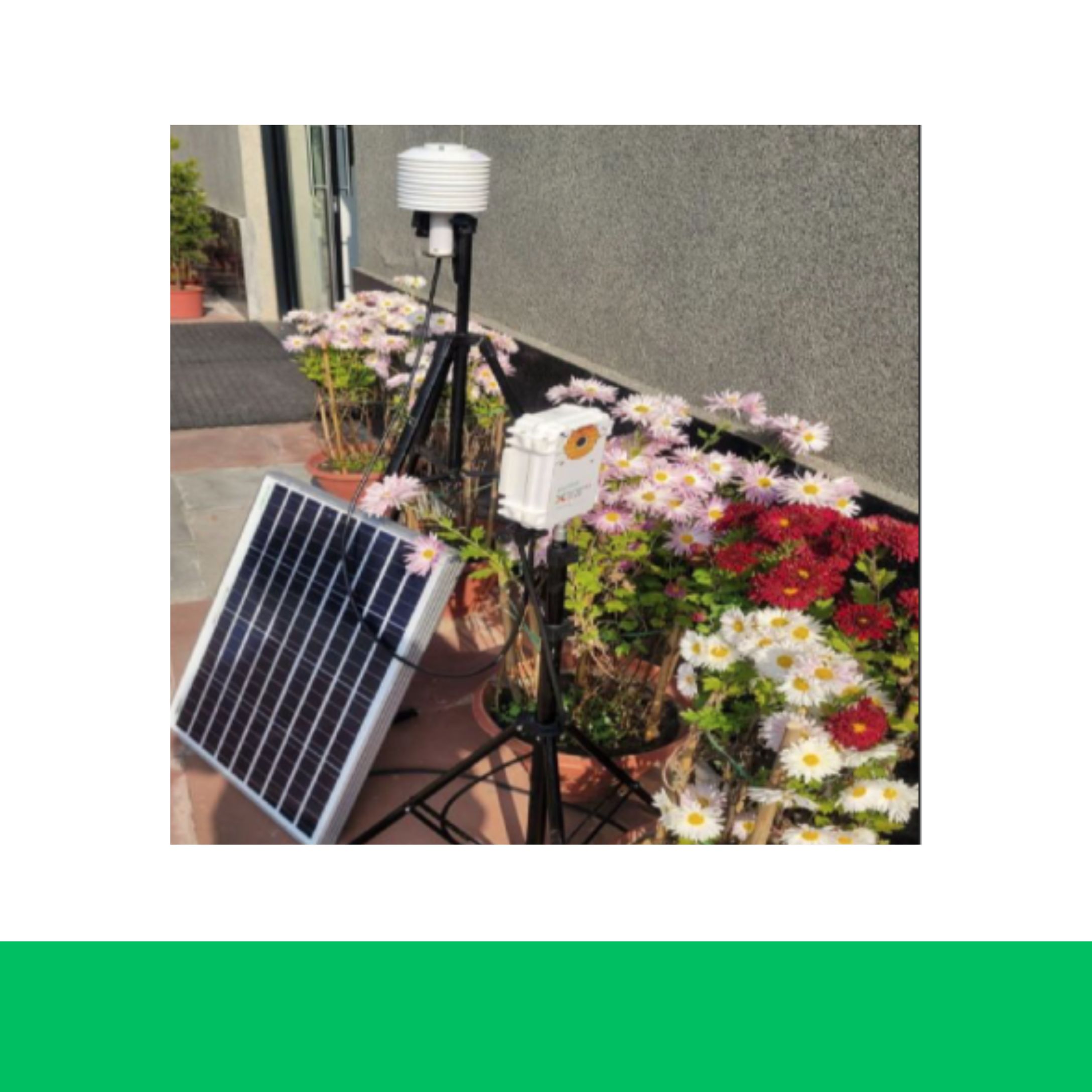 Digital Entomologist device